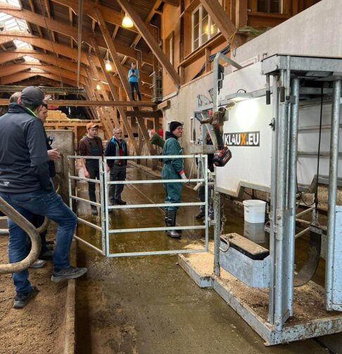 1.1.2._Klaux.eu_Platinum_chute_3