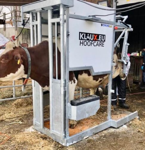 1.1.2._Klaux.eu_Platinum_chute_6