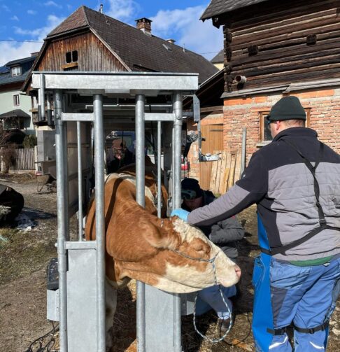 1.1.3._KLAUX.EU_Platinum_Hydro_chute_7