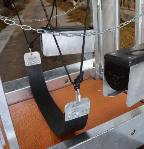 1.1.4._KLAUX.EU_Platinum_Comfort_chute_2