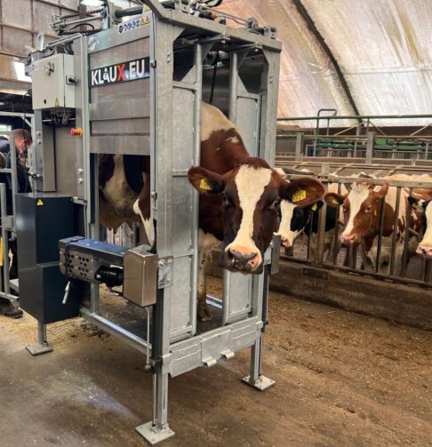 1.2.1._Klaux.eu_Titanium-KLAUX.EU-4