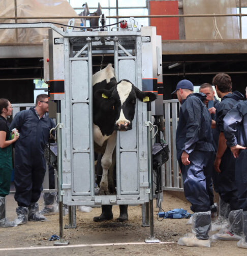 1.2.3._Klaux.eu_Rodium_Master-KLAUX.EU 7