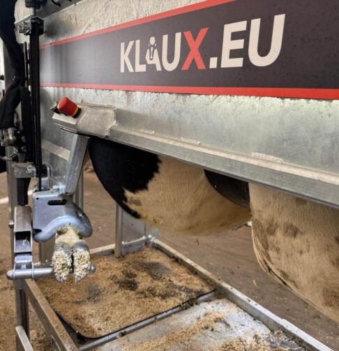 1.2.4._KLAUX.EU_CHROOM_5