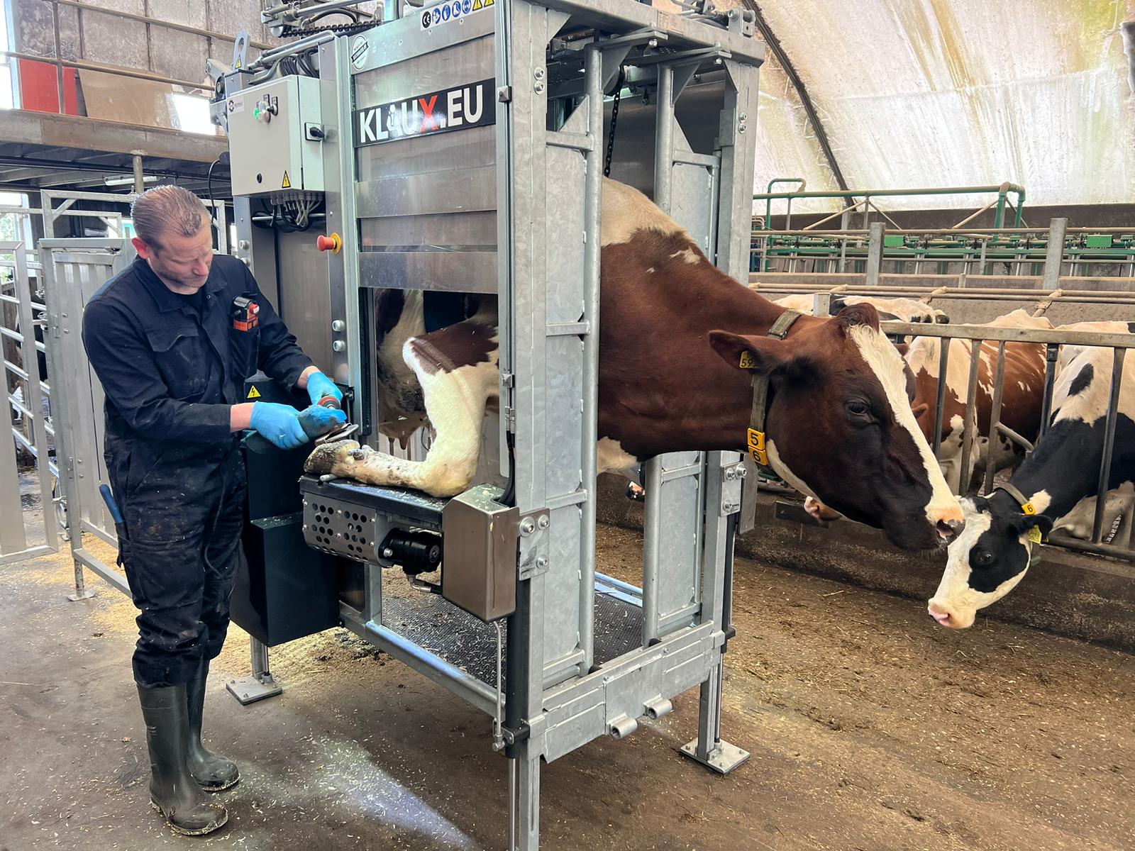Dé specialist op gebied van klauwverzorging voor melkvee en producent van klauwbekapboxen