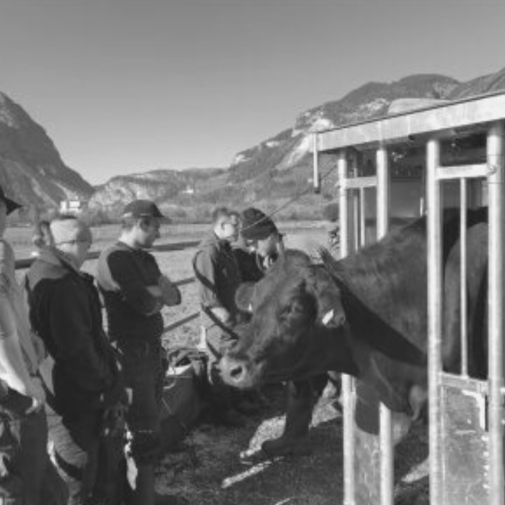 klauwbekap-workshop-deel-2-klaux