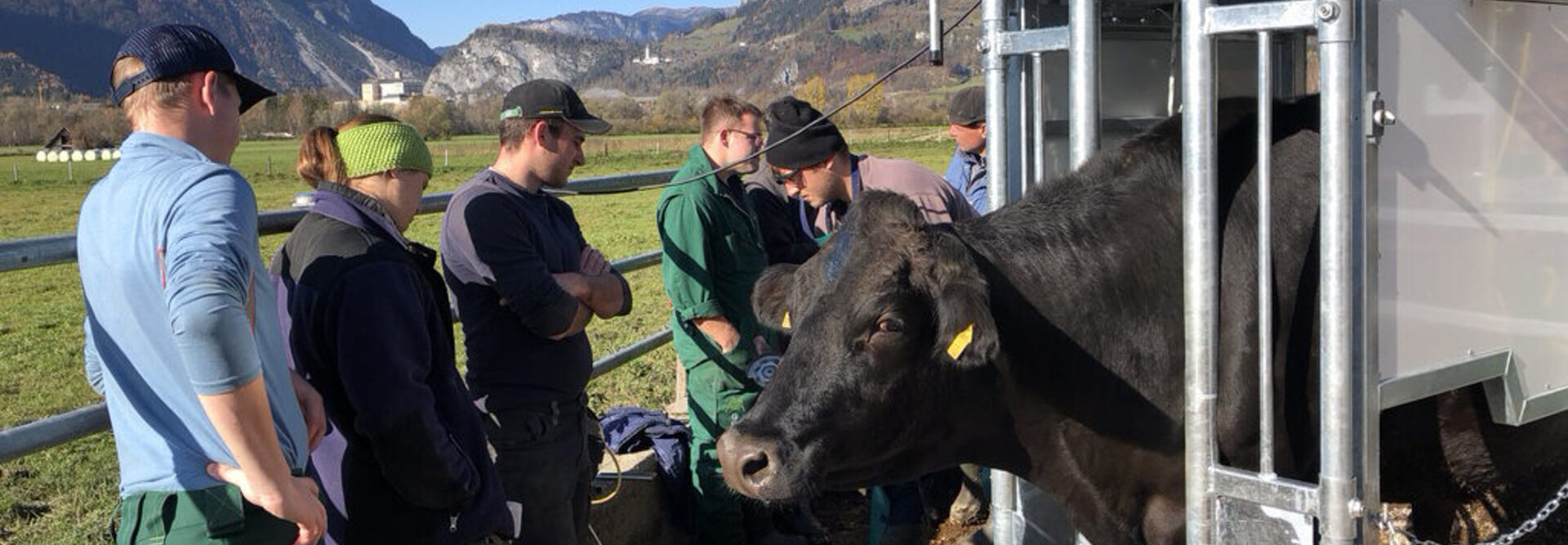 trainingen-en-workshops